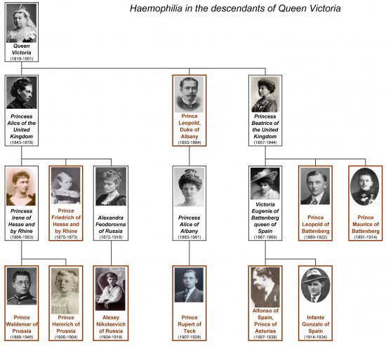 genealogy queen victoria family tree